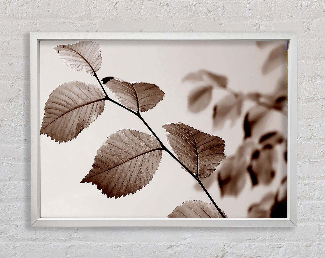 Cocoa Leaves Framed Wall Art