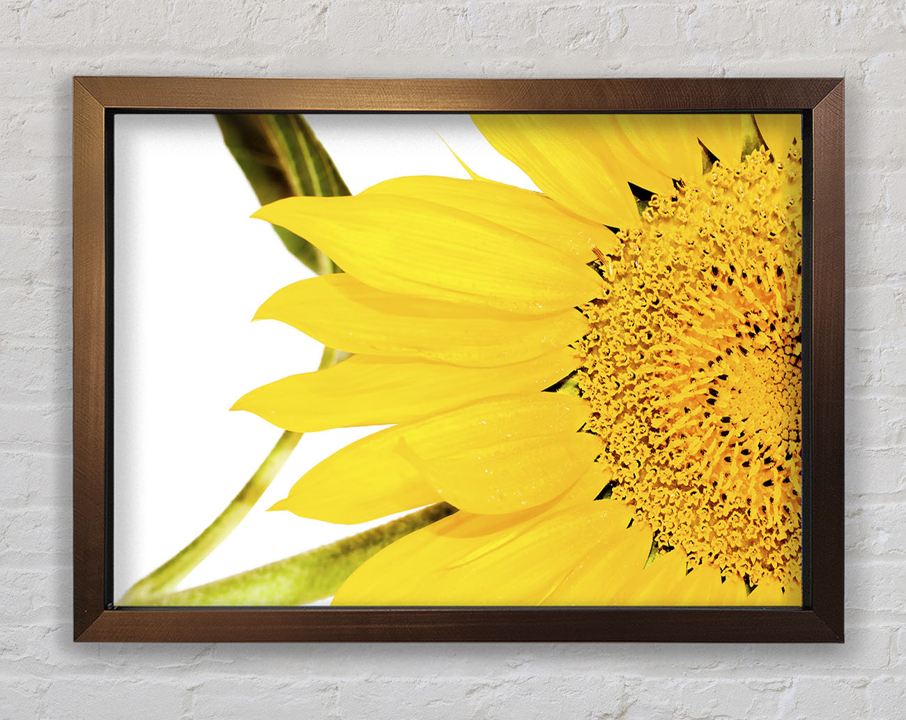 Close-Up Petal Sunflower Framed Wall Art