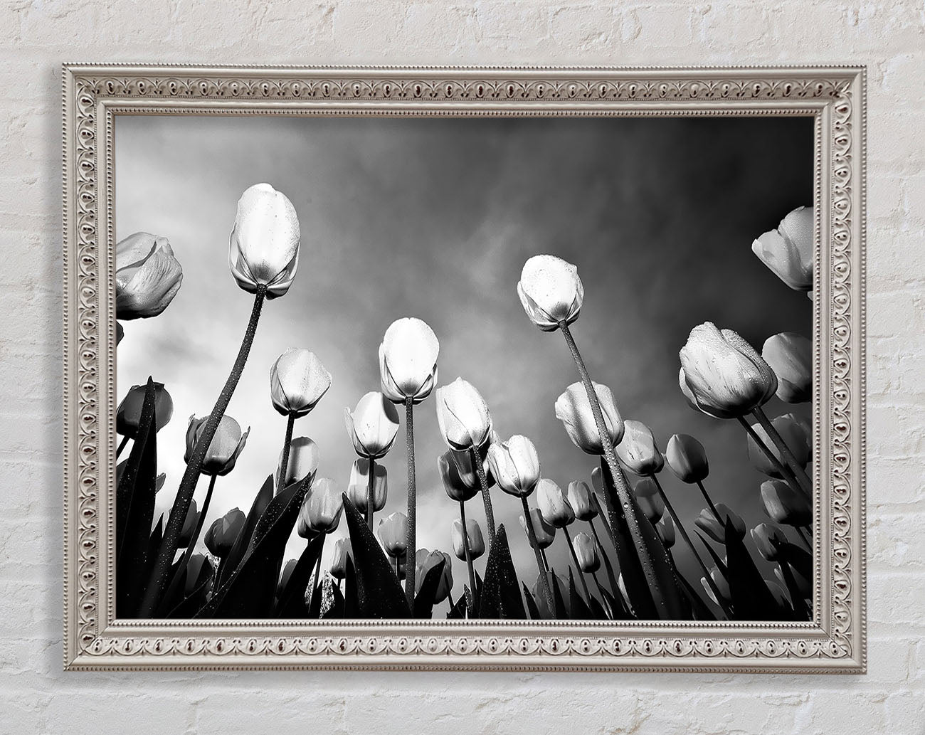 Black And White Tulip Skys Framed Wall Art