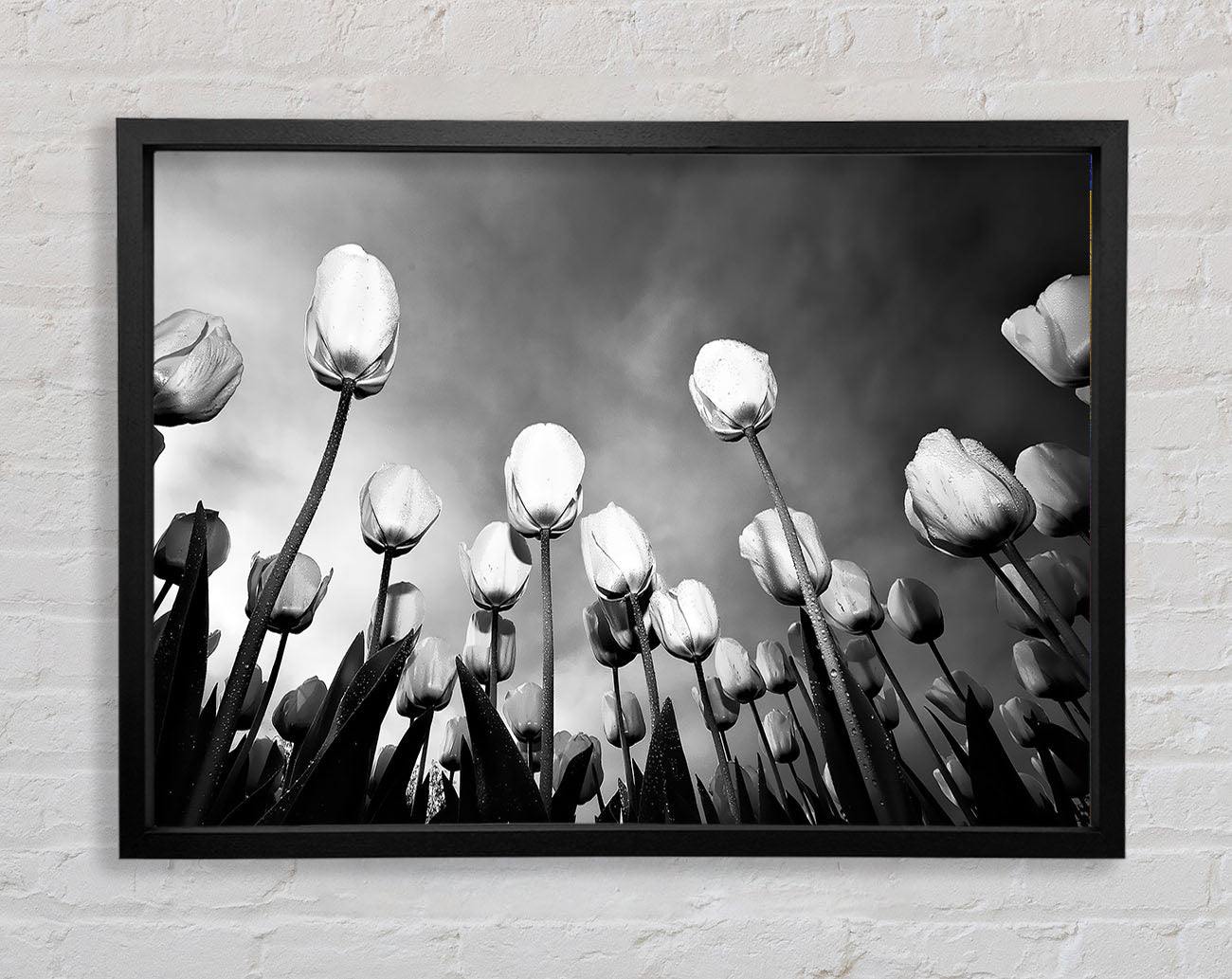 Black And White Tulip Skys Framed Wall Art