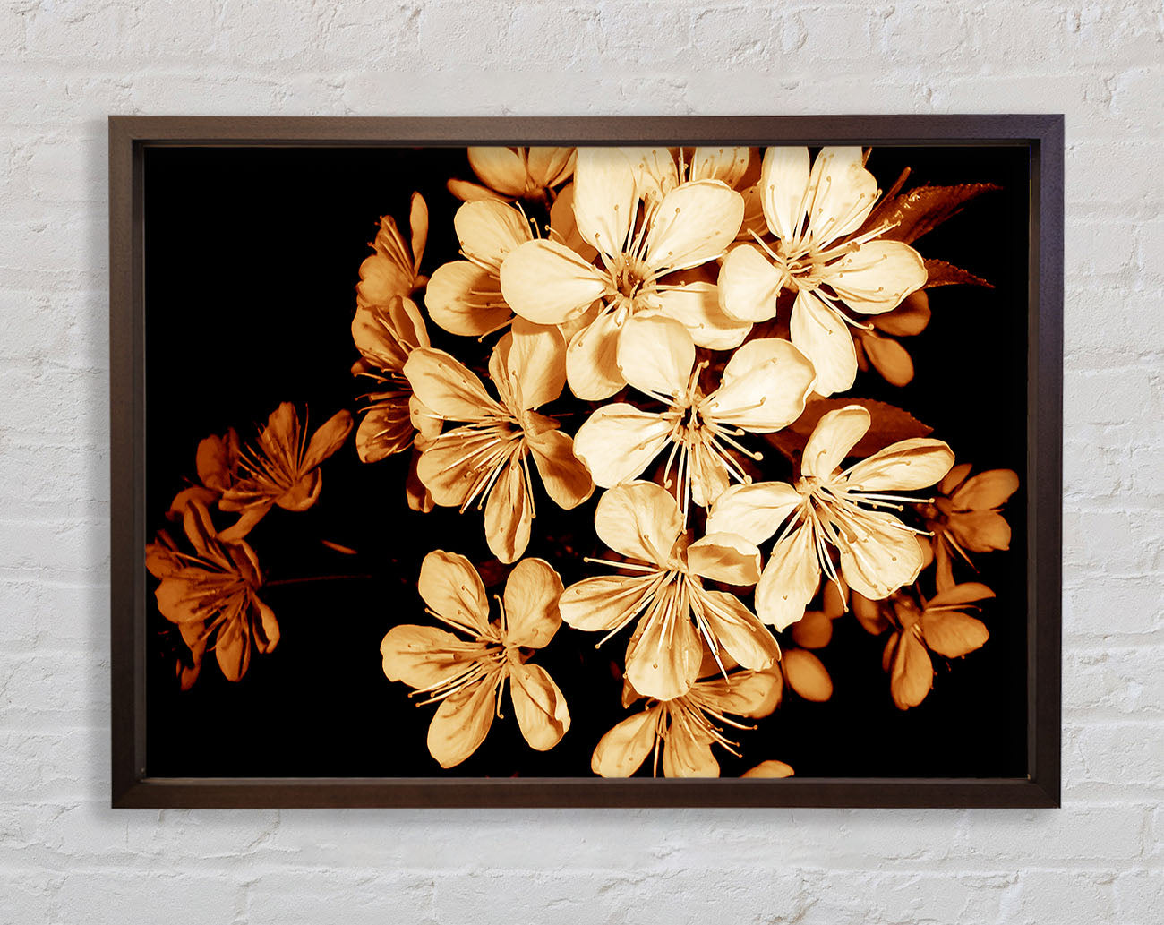 Cocoa Flowers Framed Wall Art