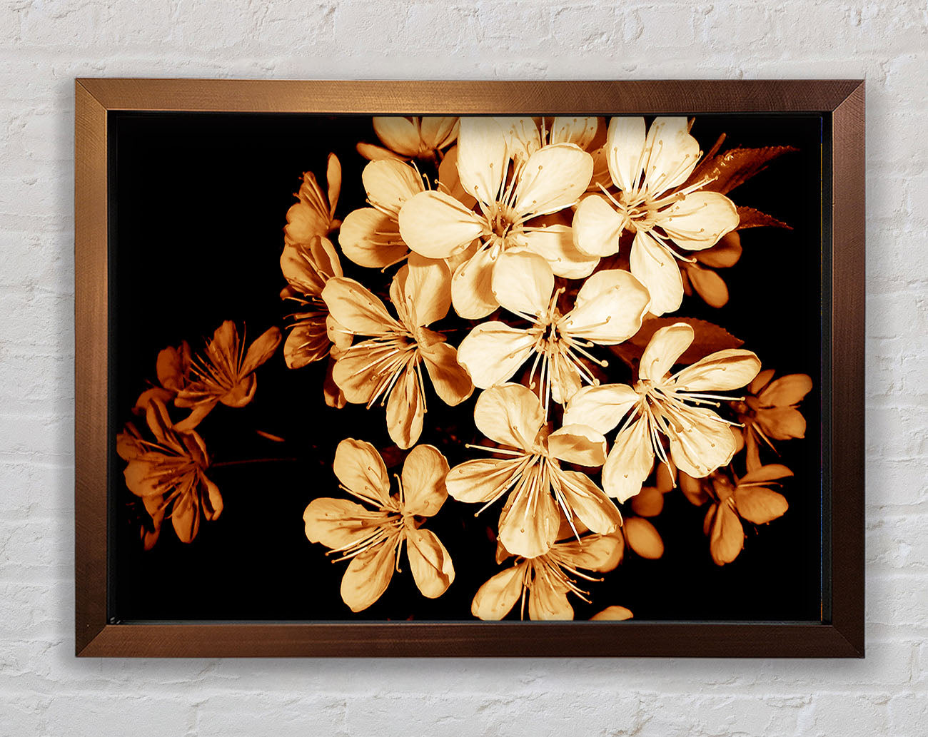 Cocoa Flowers Framed Wall Art