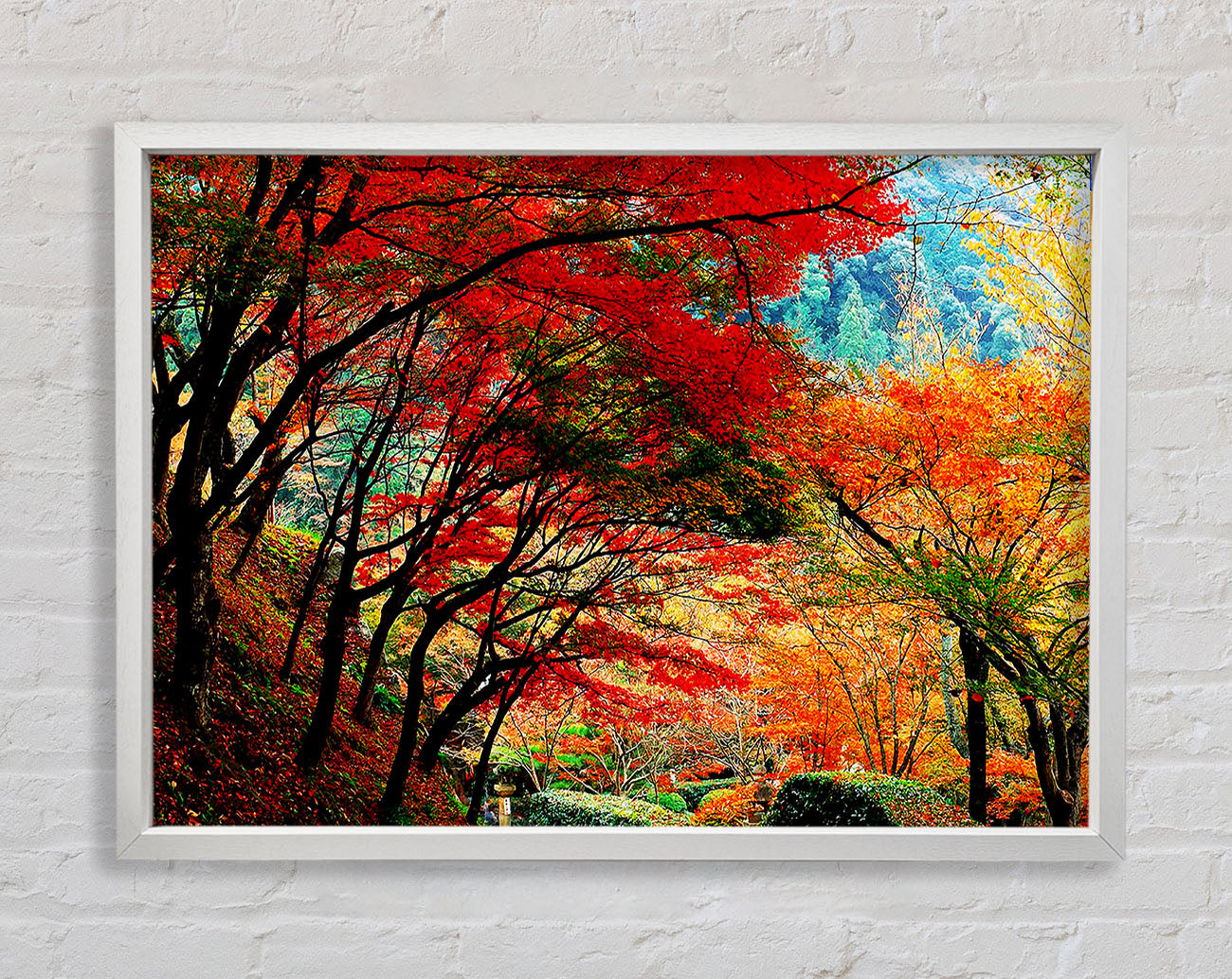 Autumn Tree Delight Framed Wall Art