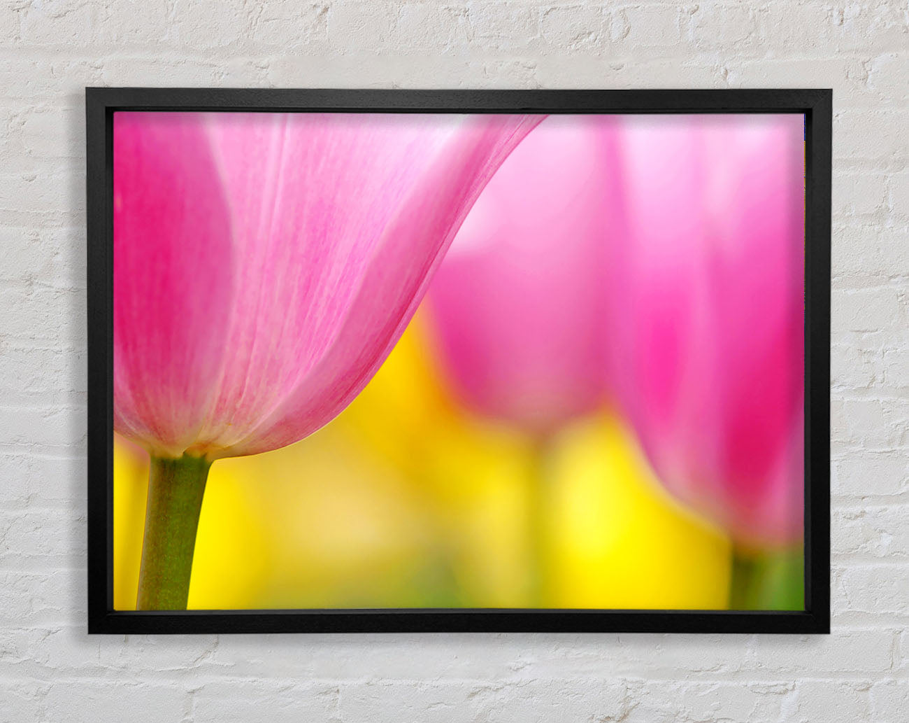 Close-Up Soft Heaven Tulip Framed Wall Art