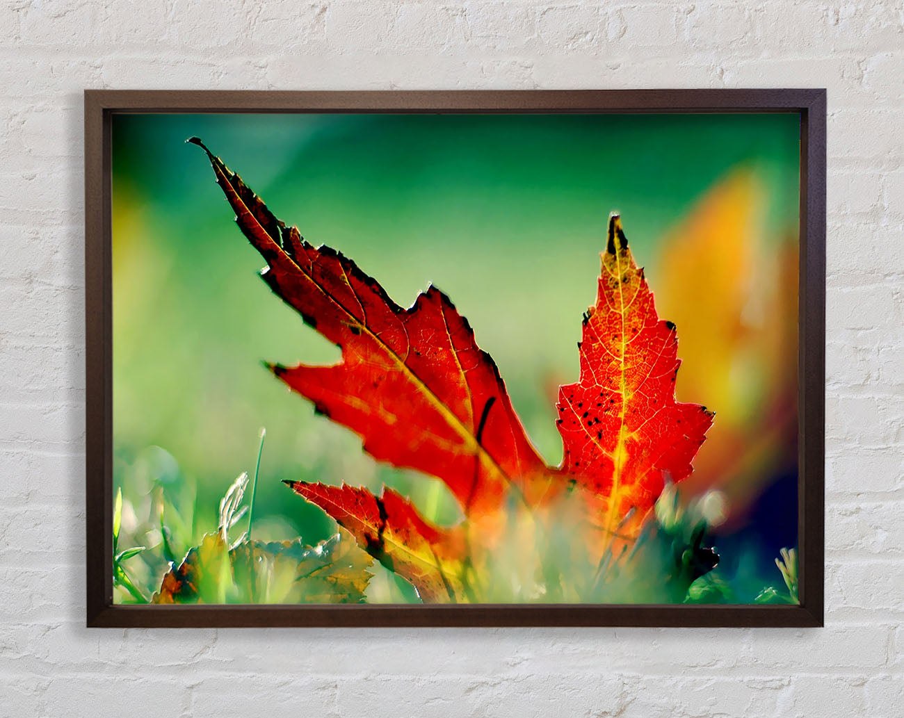 Autumn Leaf Framed Wall Art