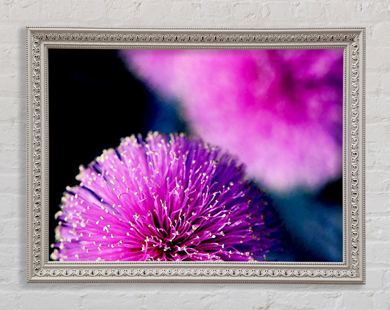 Cerise Pink Pom Poms Framed Wall Art