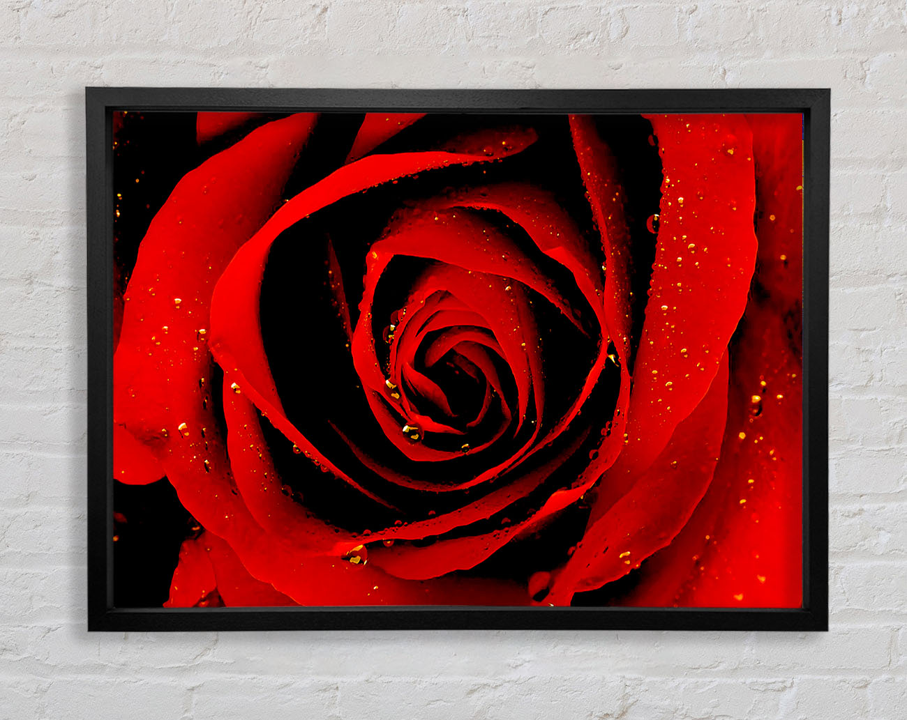 Close-Up Of A Red Rose Framed Wall Art