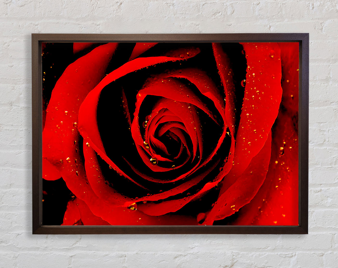 Close-Up Of A Red Rose Framed Wall Art