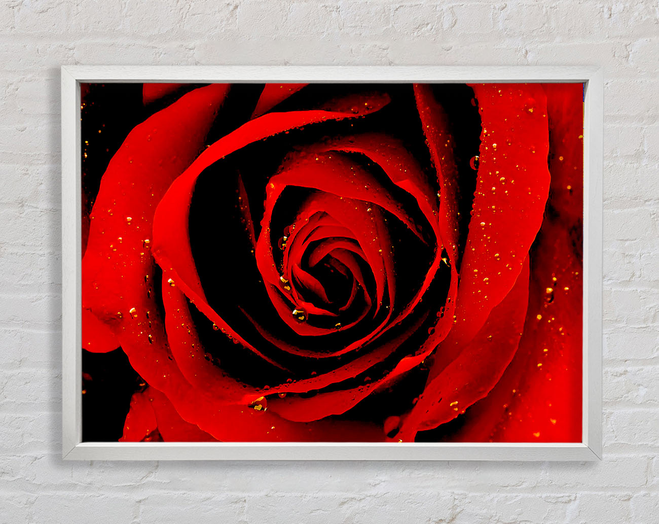 Close-Up Of A Red Rose Framed Wall Art
