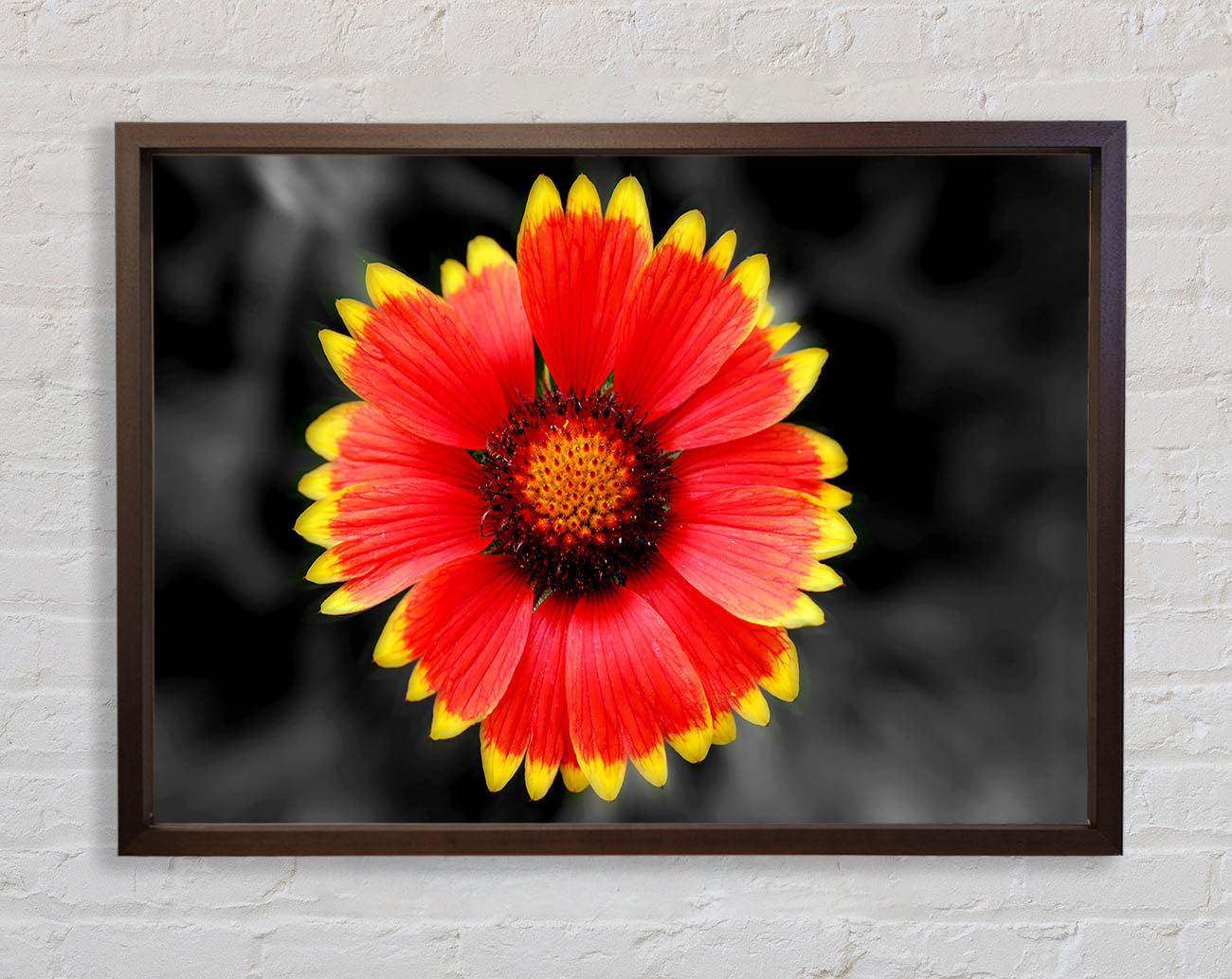 Colours Of The Sun Framed Wall Art