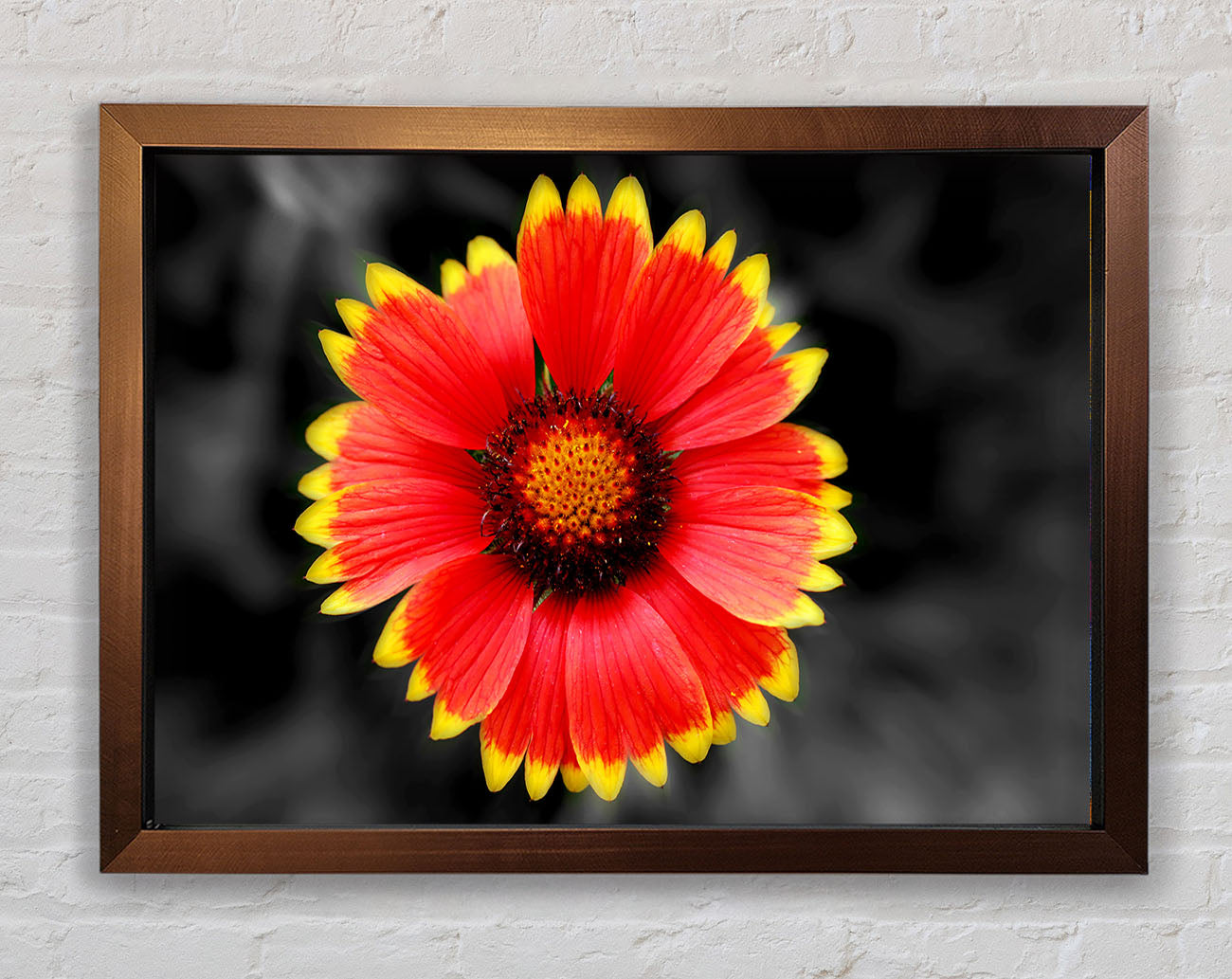 Colours Of The Sun Framed Wall Art
