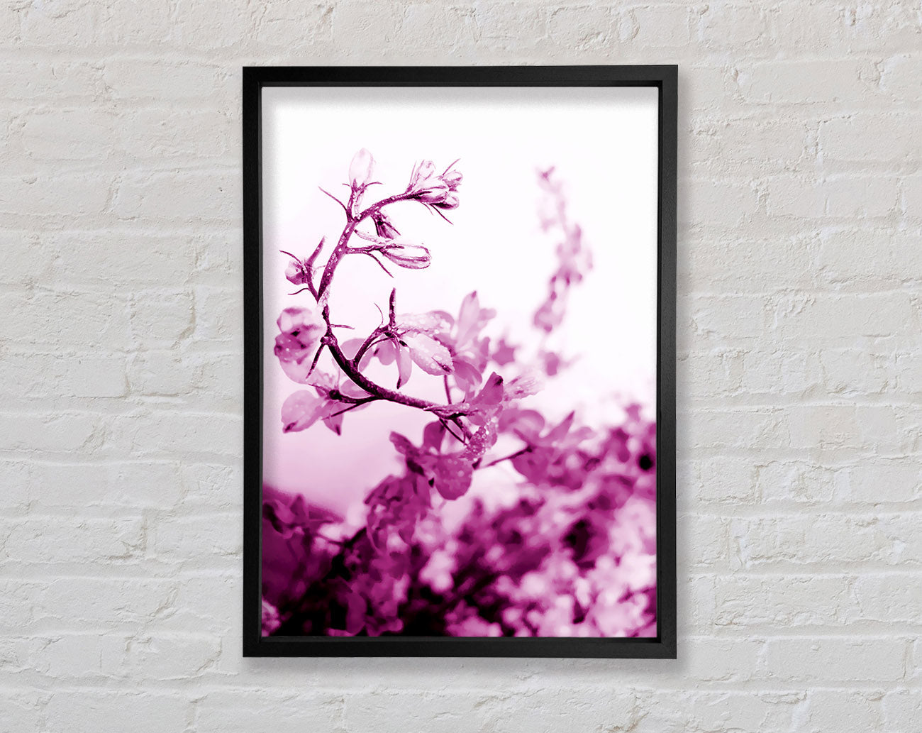 Cherry Blossom Framed Wall Art