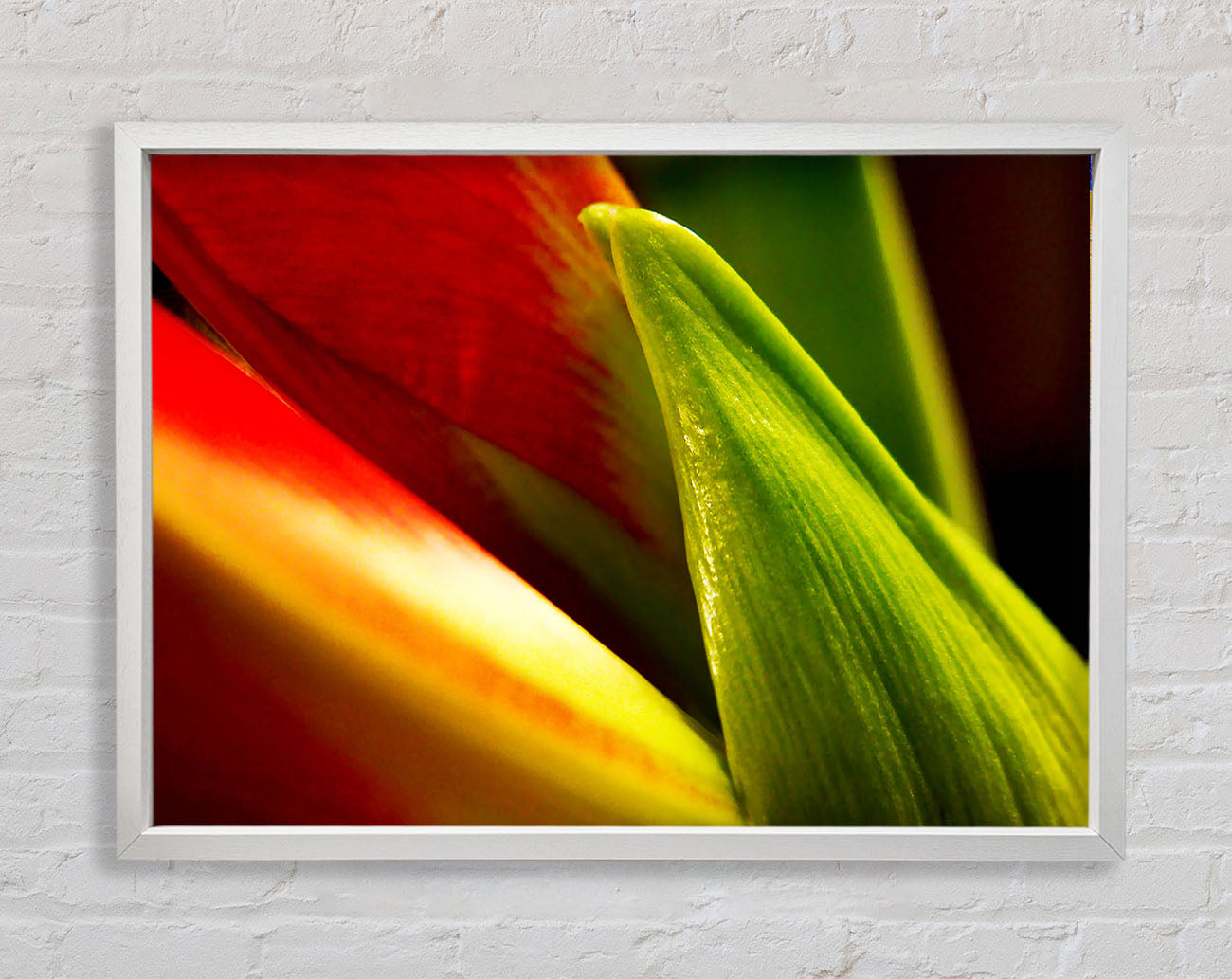 Colours Of Nature Framed Wall Art