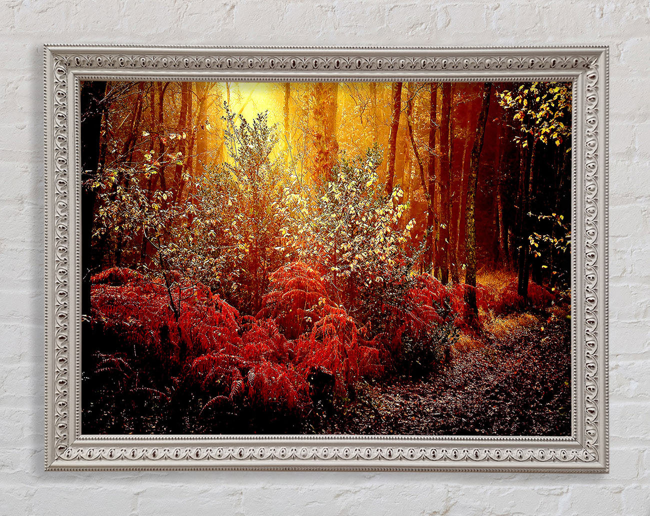 Autumn Forest Framed Wall Art
