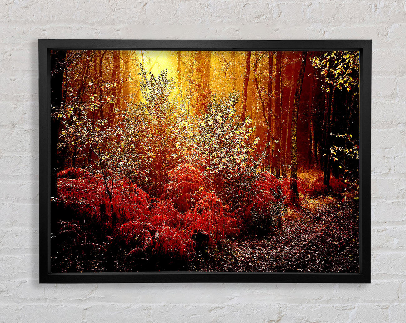 Autumn Forest Framed Wall Art