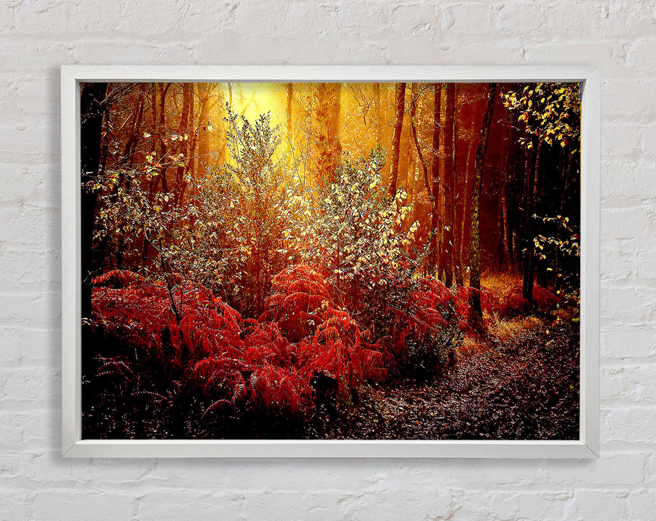 Autumn Forest Framed Wall Art
