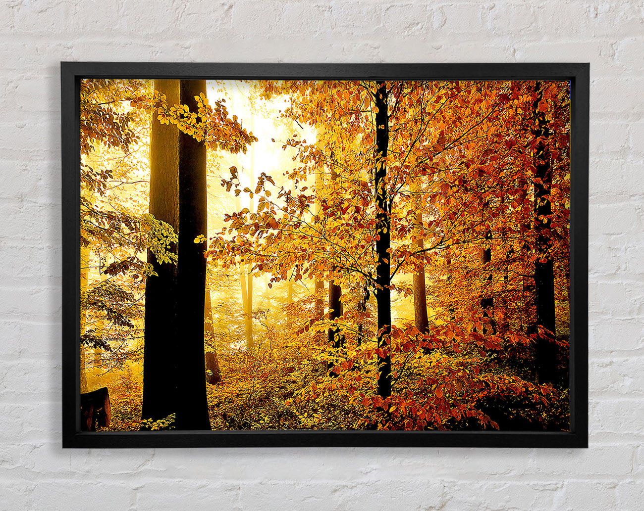 Beautiful Autumn Foliage Framed Wall Art