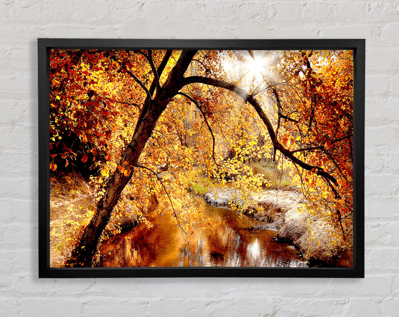 Creek In The Autumn Forest Framed Wall Art