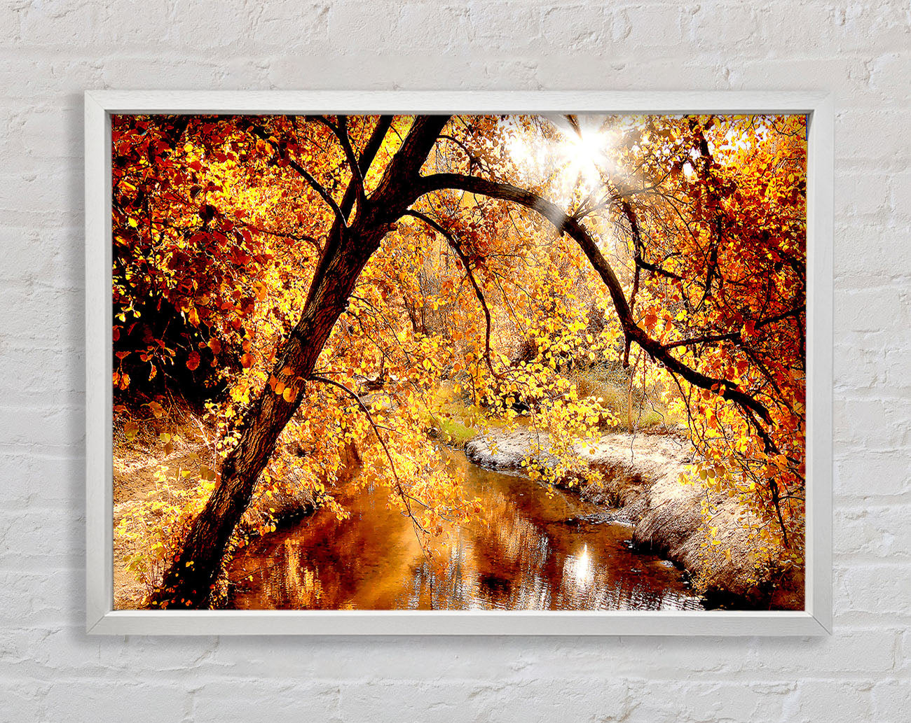Creek In The Autumn Forest Framed Wall Art
