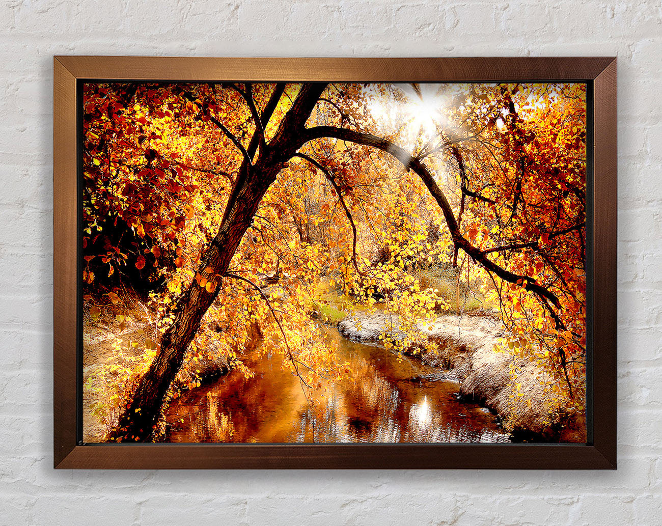 Creek In The Autumn Forest Framed Wall Art
