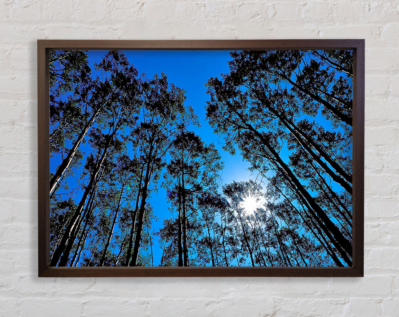 Blue Tree Top Skys Framed Wall Art