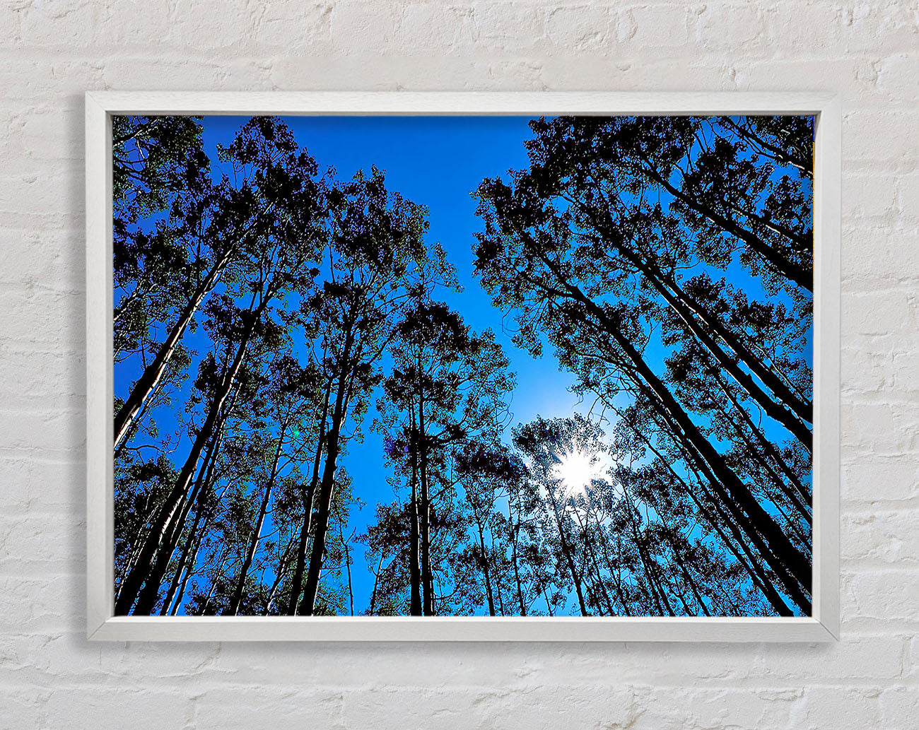 Blue Tree Top Skys Framed Wall Art