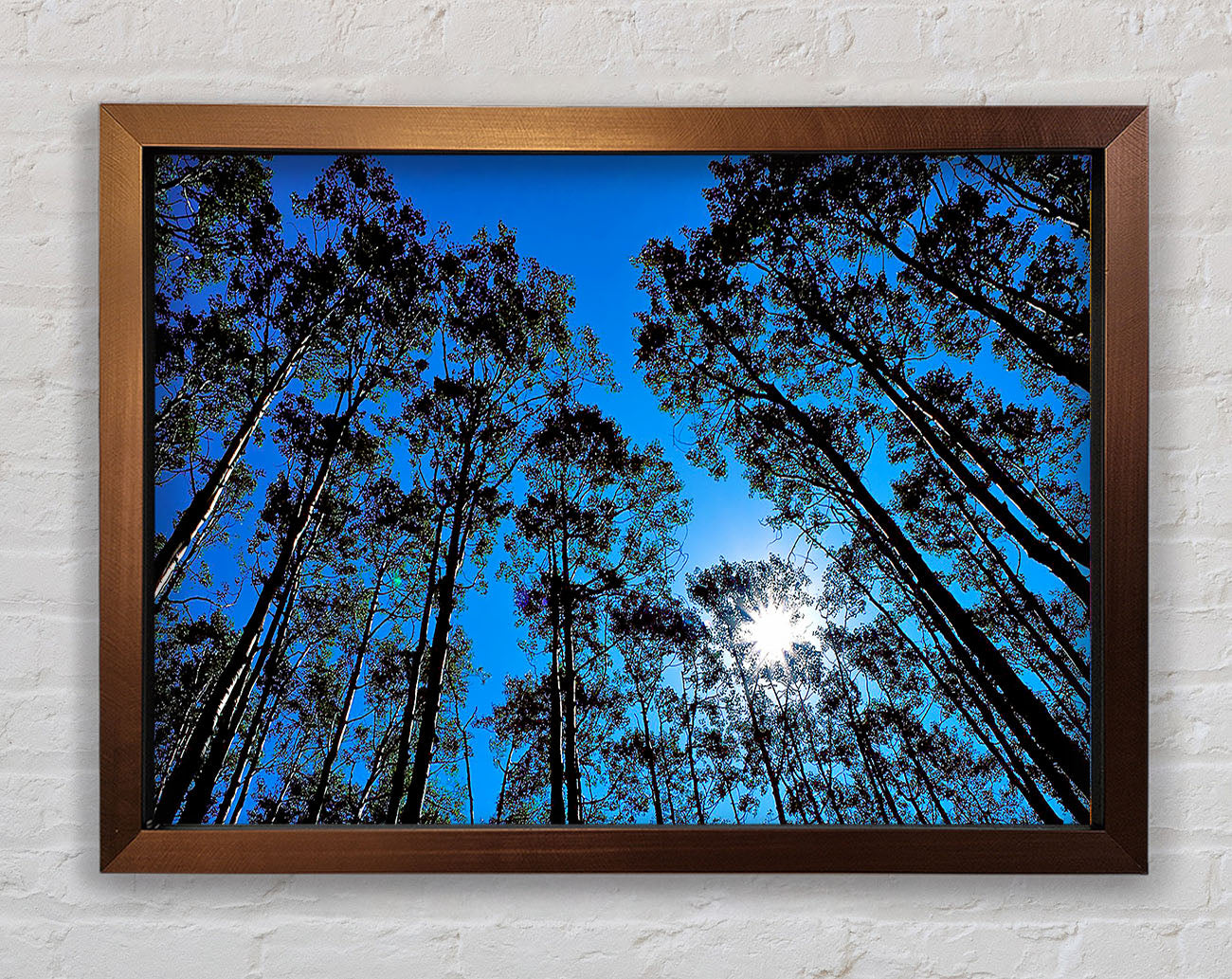 Blue Tree Top Skys Framed Wall Art