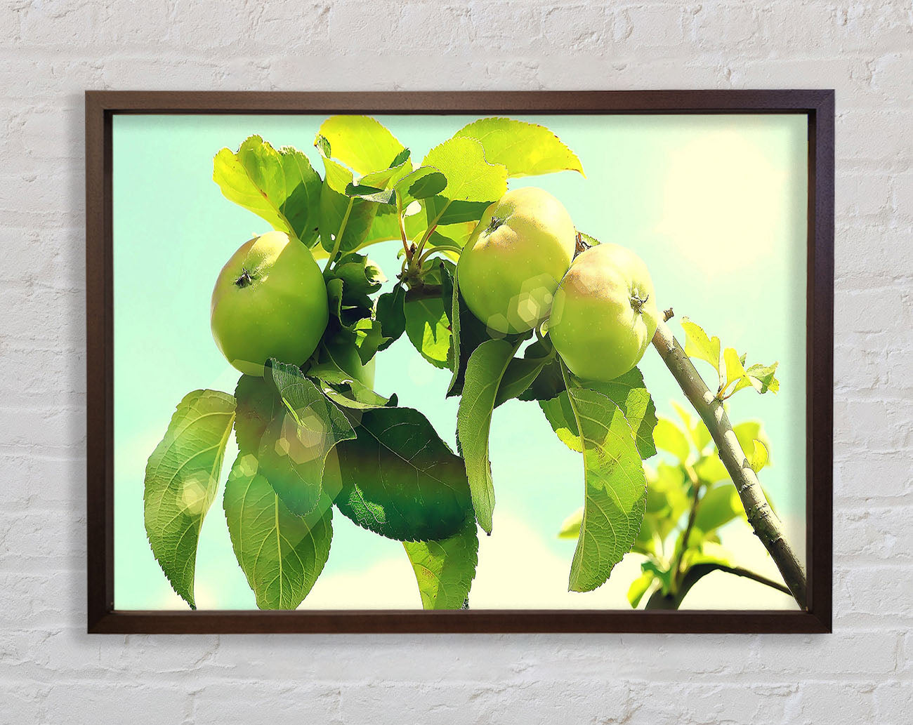 Apple Tree Framed Wall Art