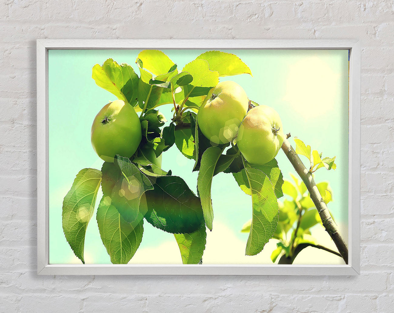 Apple Tree Framed Wall Art