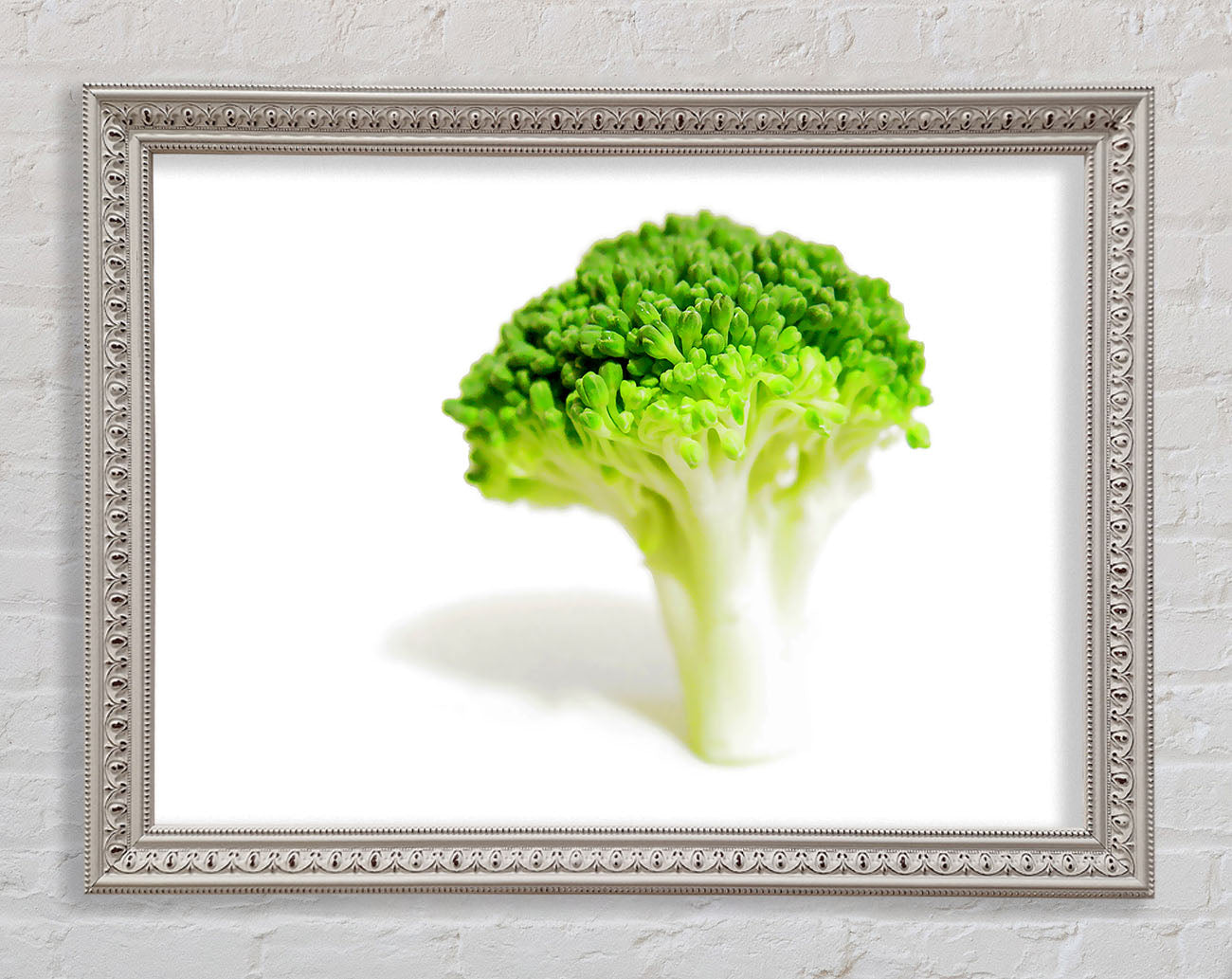 Brocolli Stem Framed Wall Art