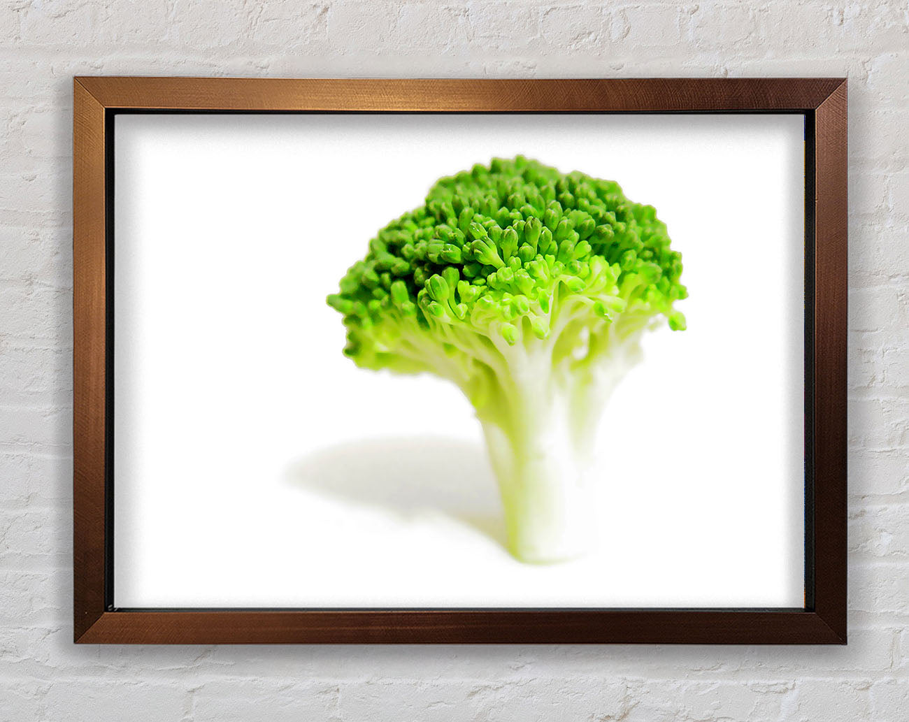 Brocolli Stem Framed Wall Art