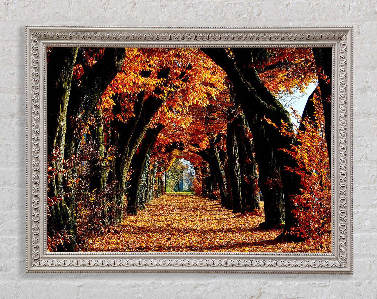 Beautiful Path Framed Wall Art