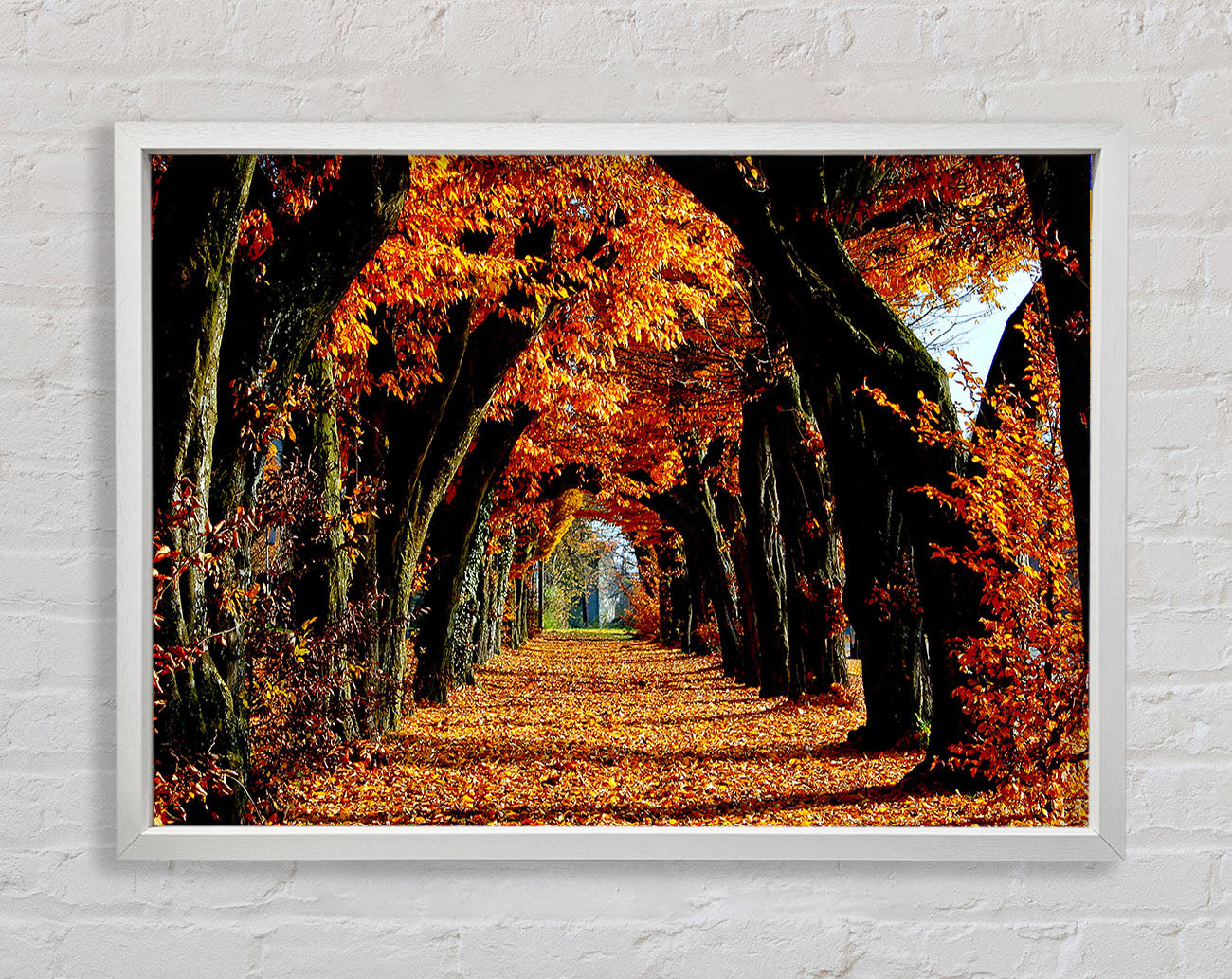 Beautiful Path Framed Wall Art