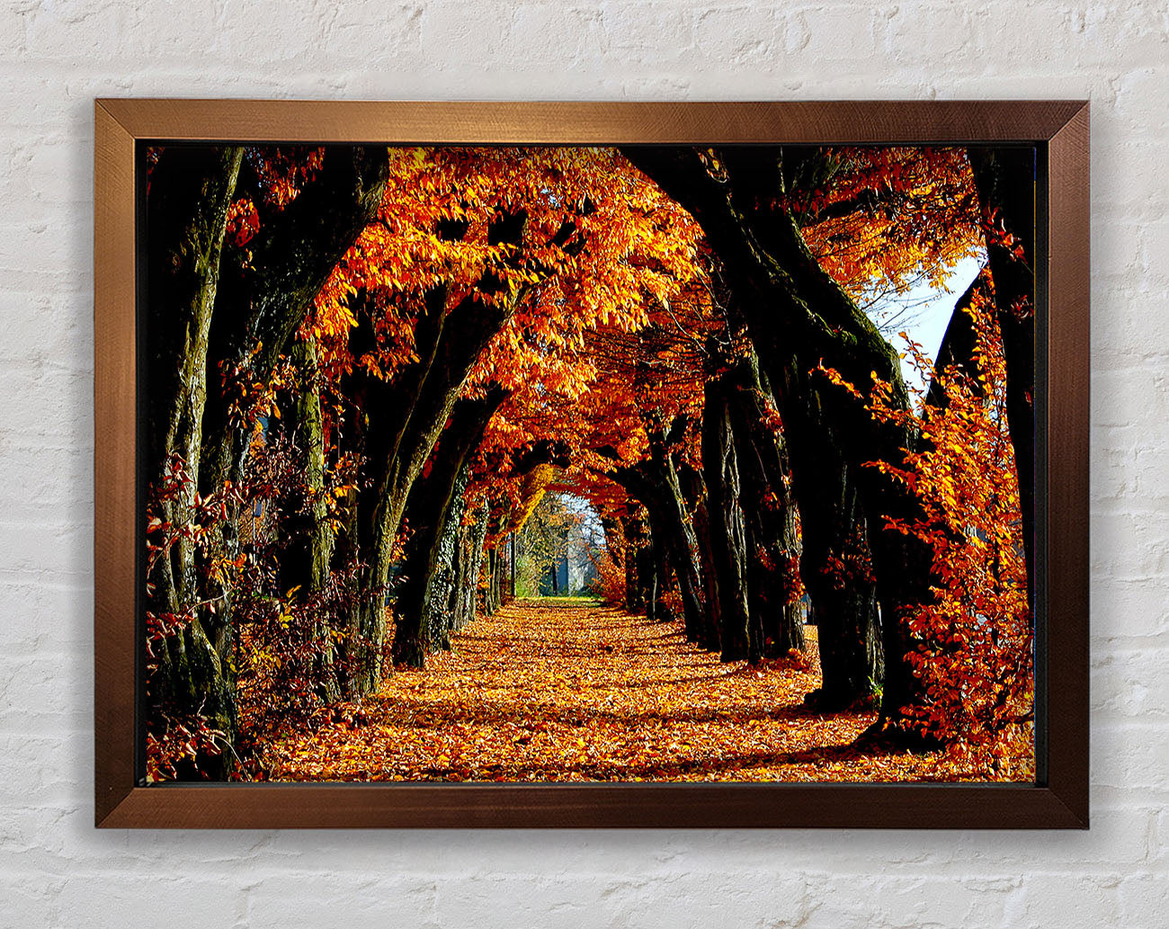Beautiful Path Framed Wall Art