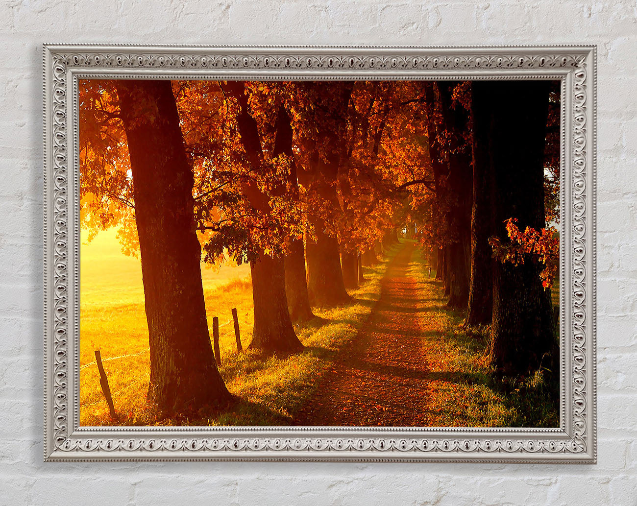 Autumn Walk Framed Wall Art