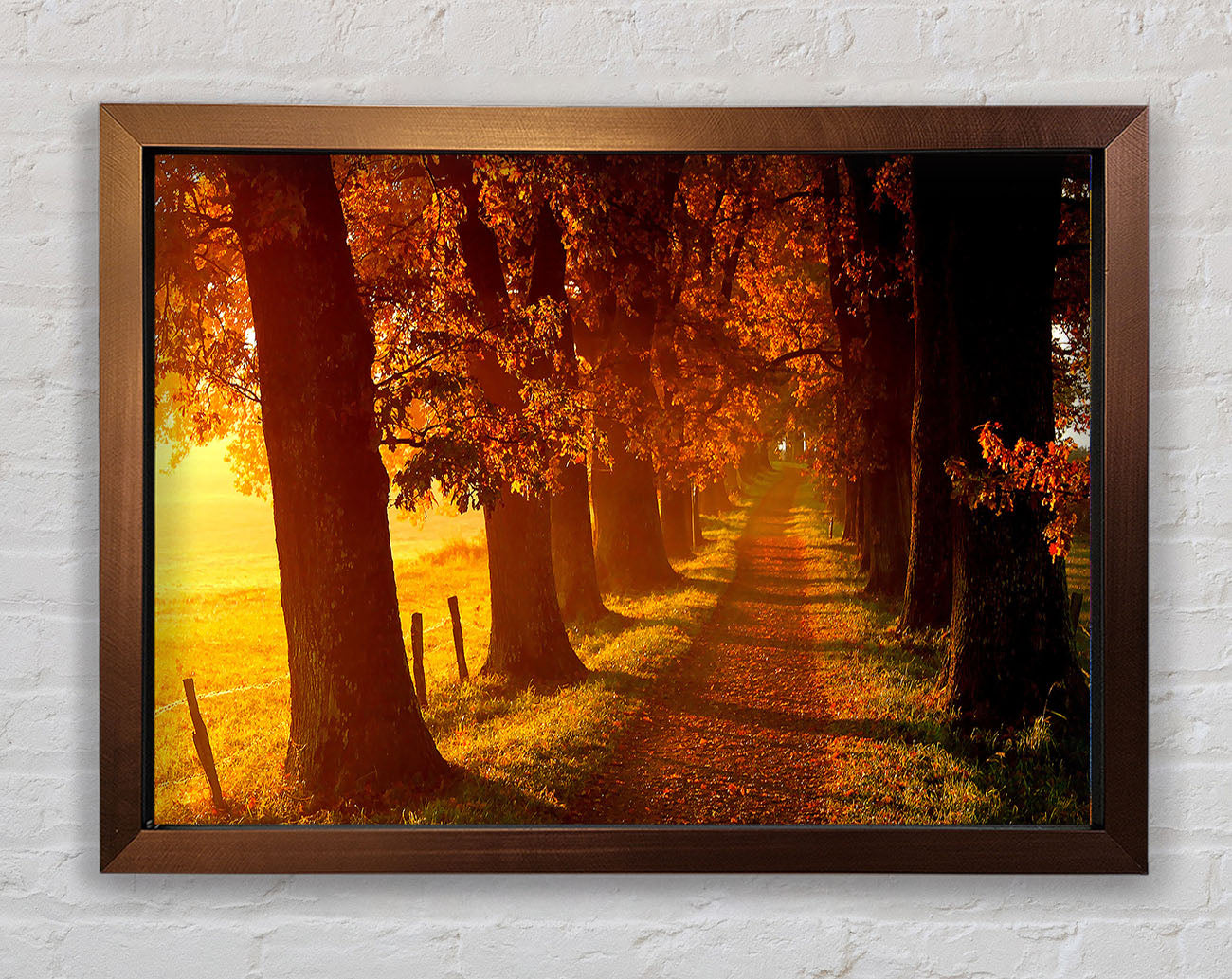 Autumn Walk Framed Wall Art