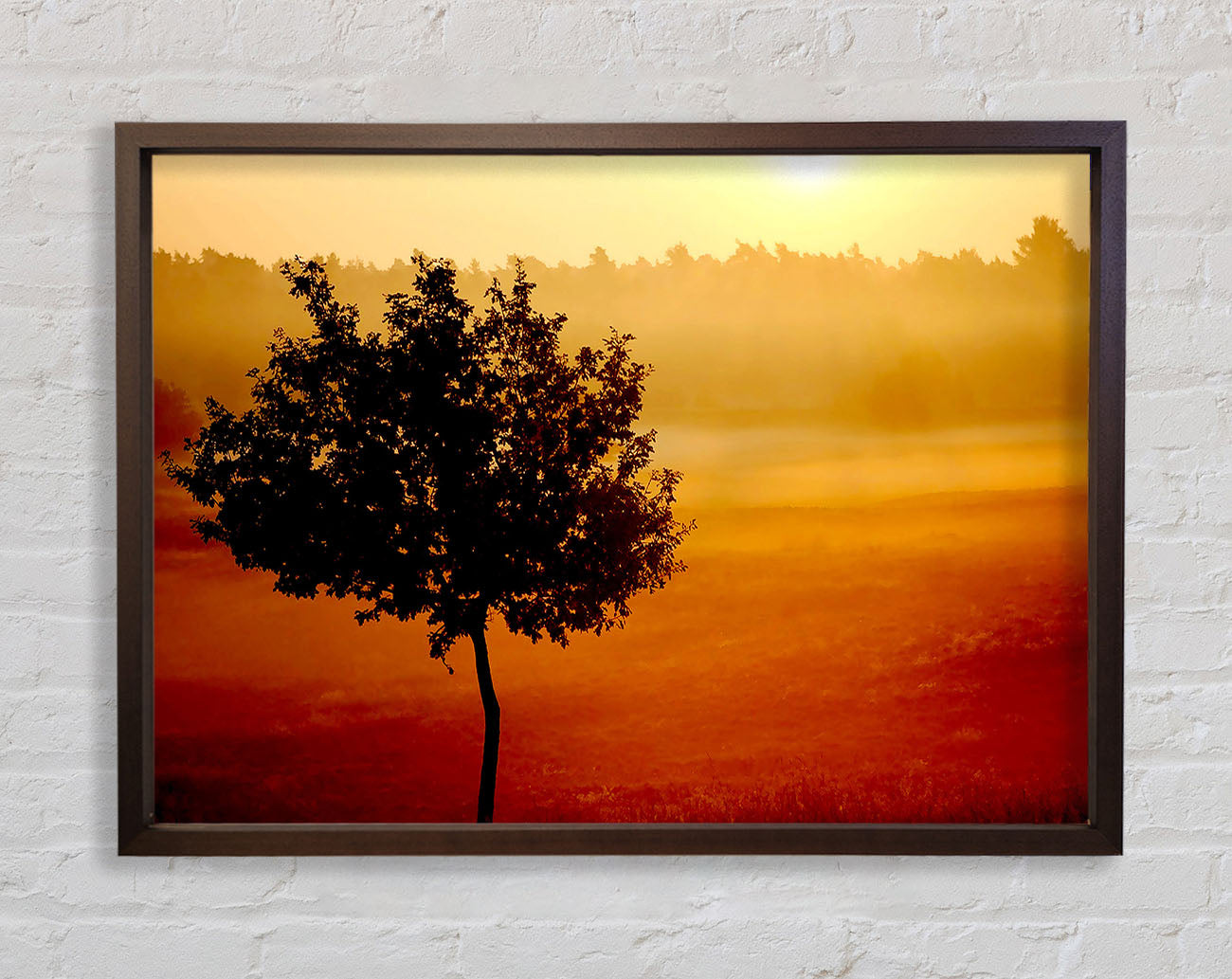 Blazing Sun Tree Framed Wall Art