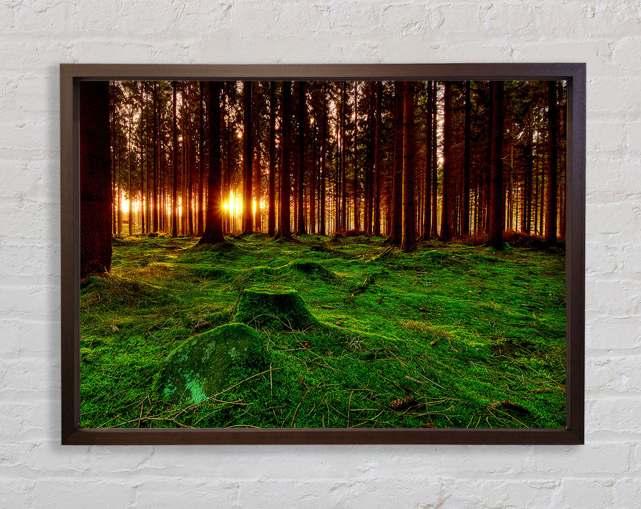 Beyond The Trees Framed Wall Art