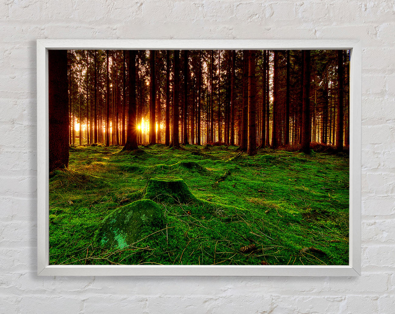 Beyond The Trees Framed Wall Art