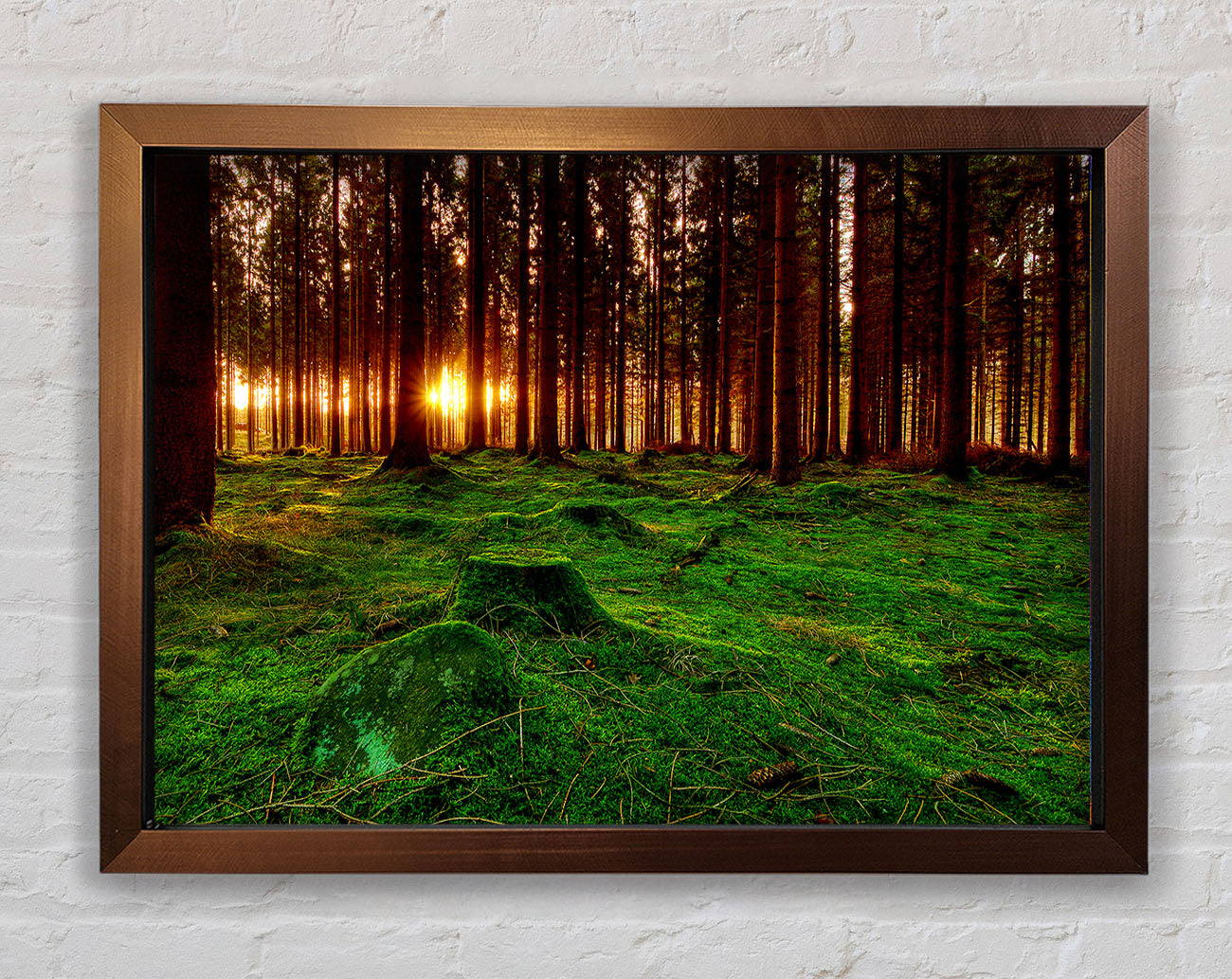 Beyond The Trees Framed Wall Art