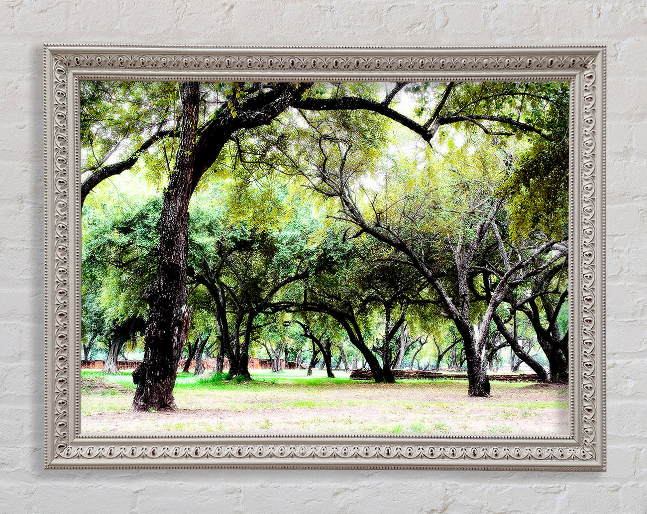 Ancient Woodland Trees Framed Wall Art