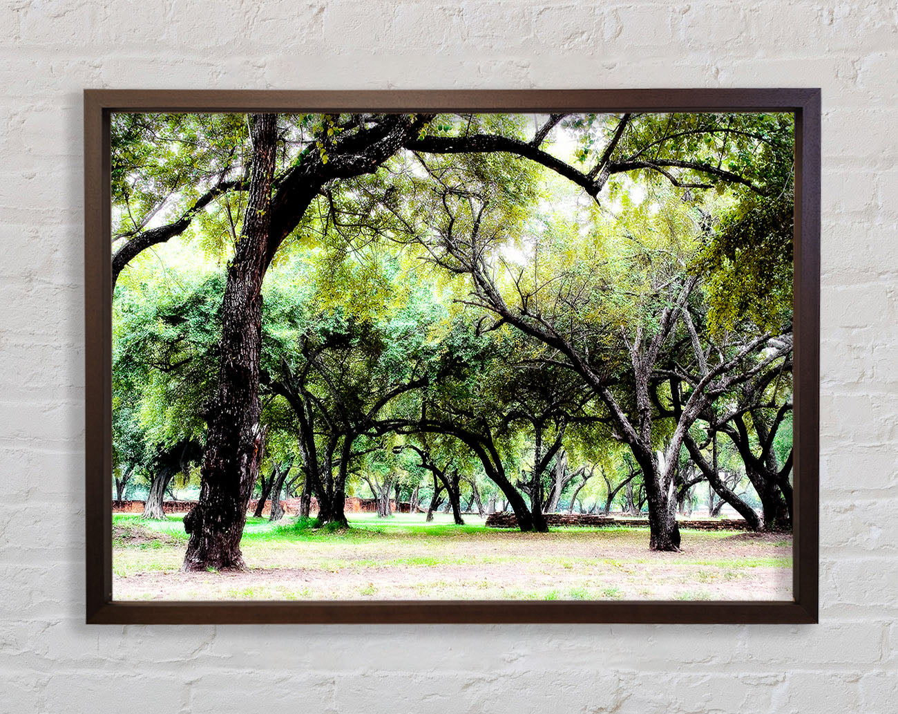 Ancient Woodland Trees Framed Wall Art