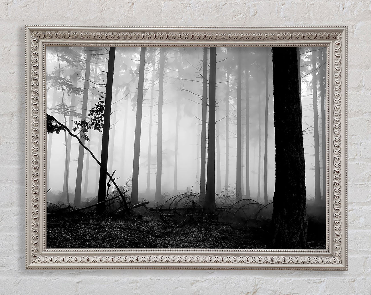 Black n White Woodland Mist Framed Wall Art
