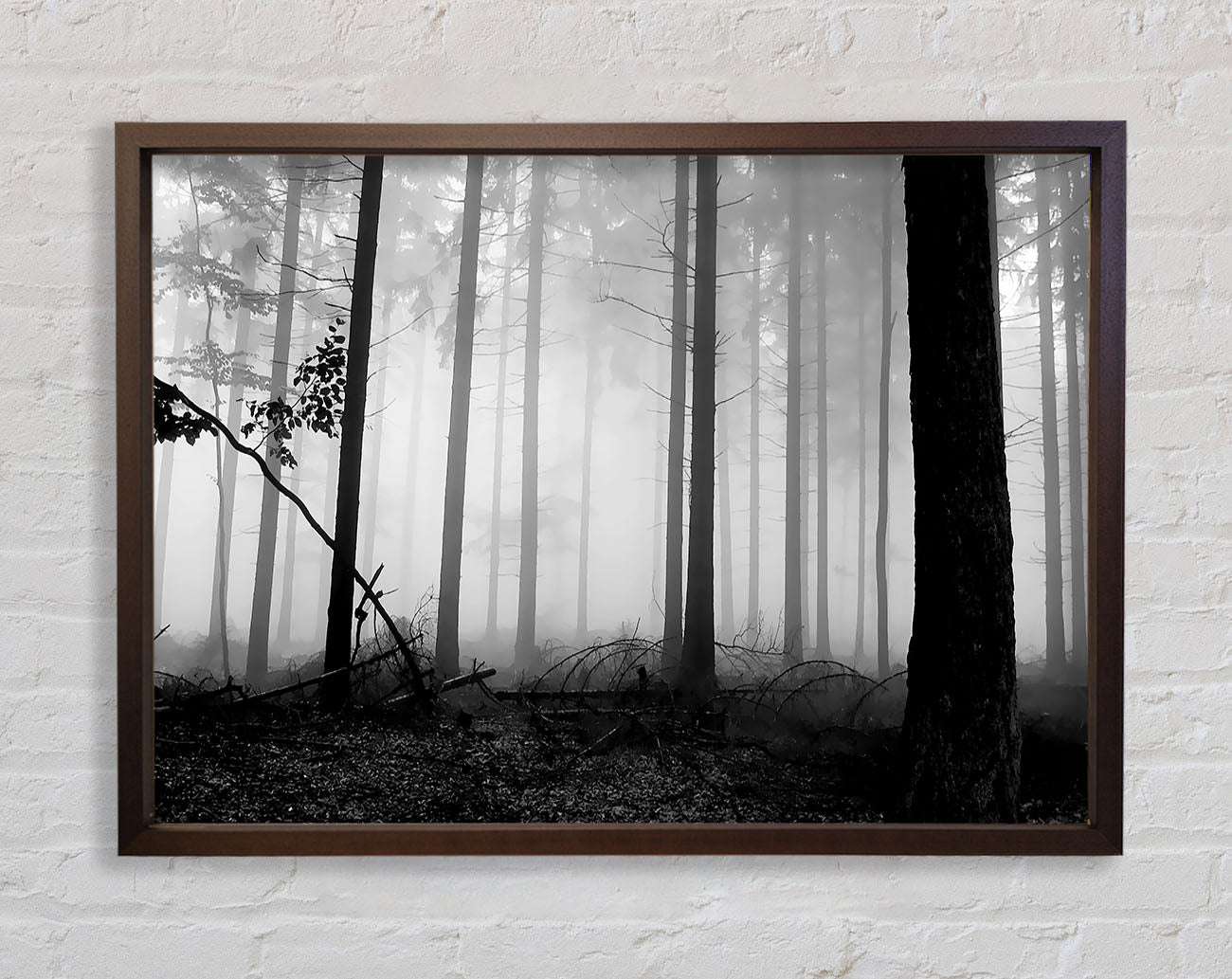 Black n White Woodland Mist Framed Wall Art