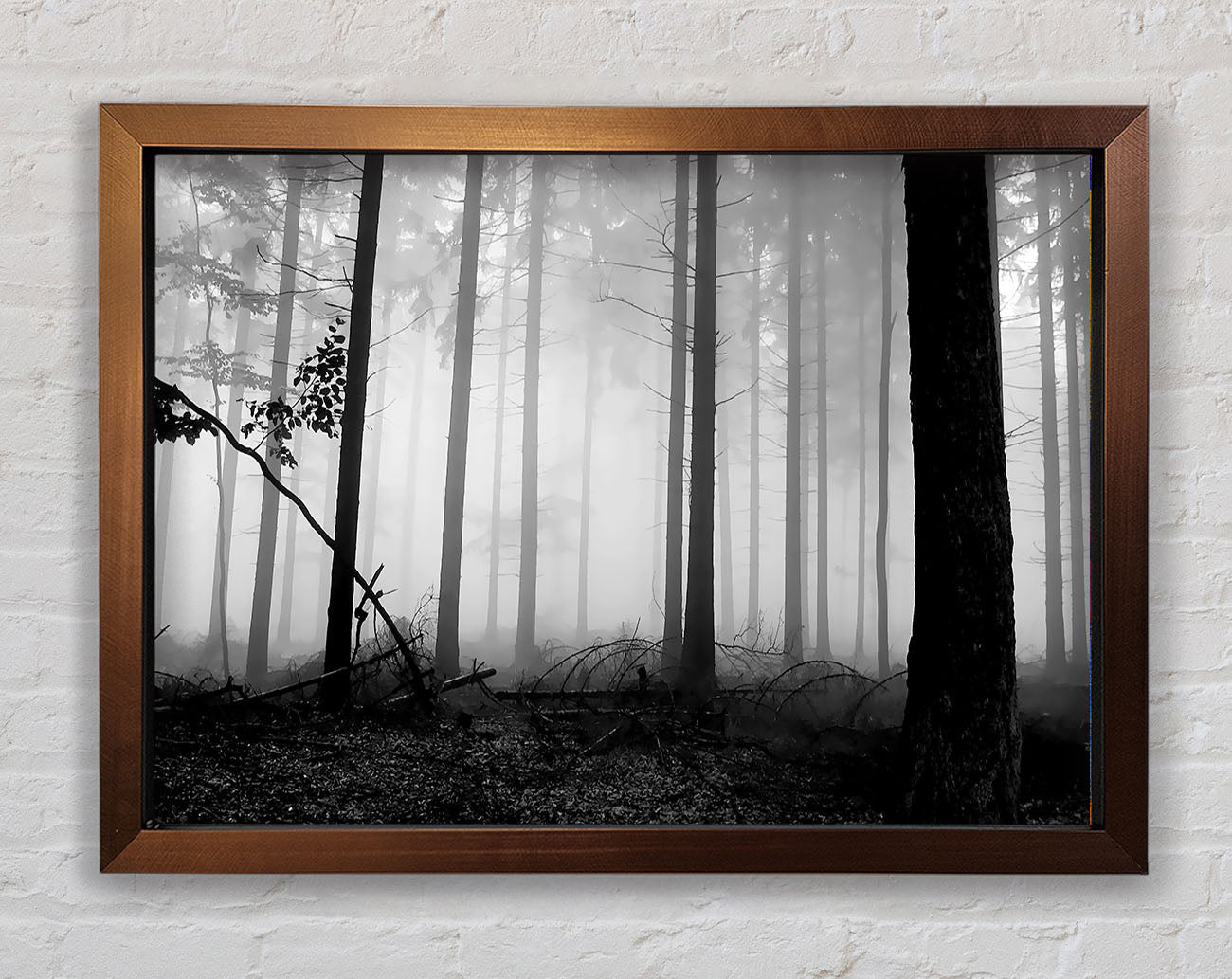 Black n White Woodland Mist Framed Wall Art
