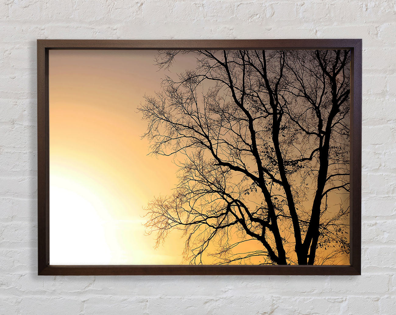 Calm Winter Sun Framed Wall Art