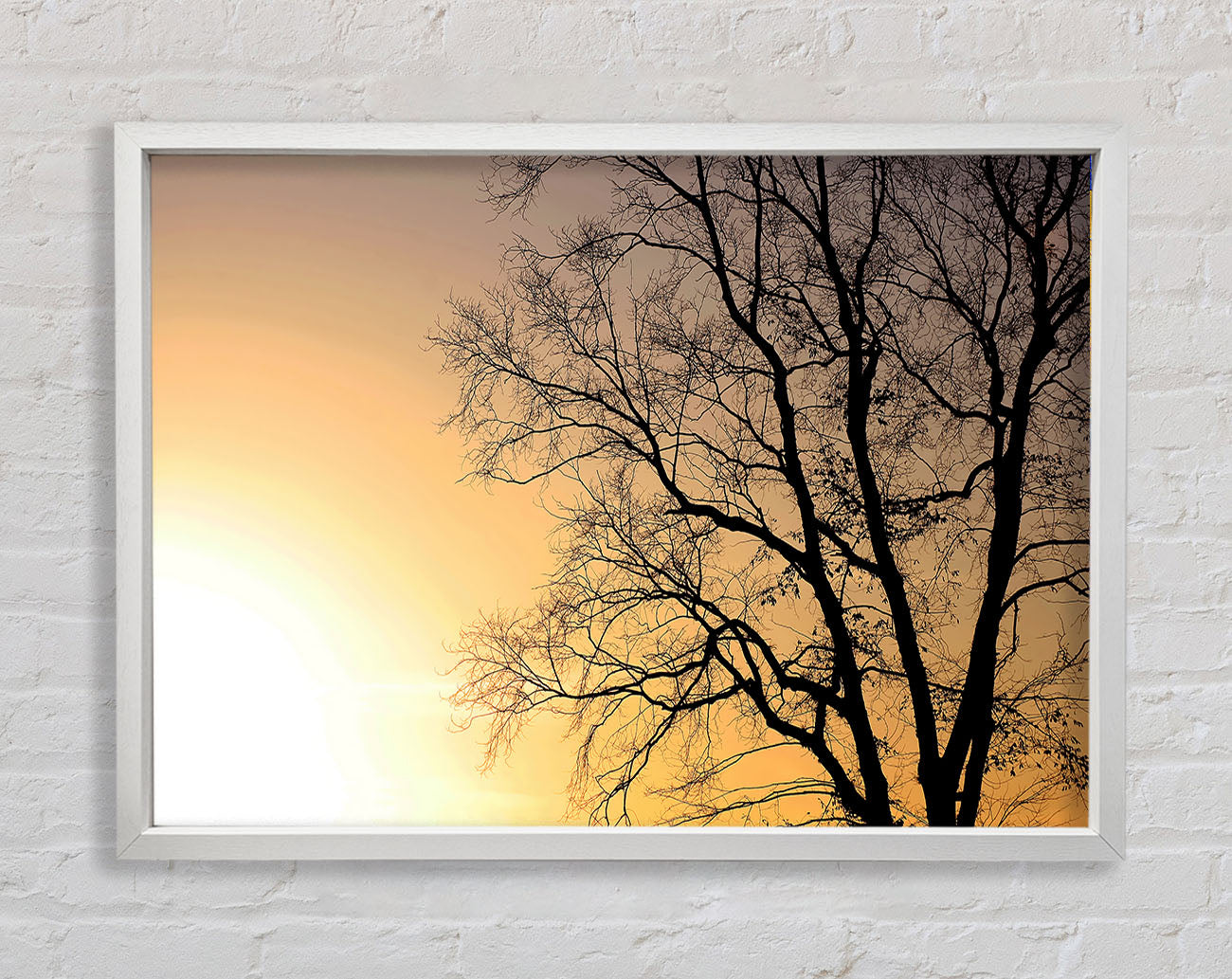 Calm Winter Sun Framed Wall Art