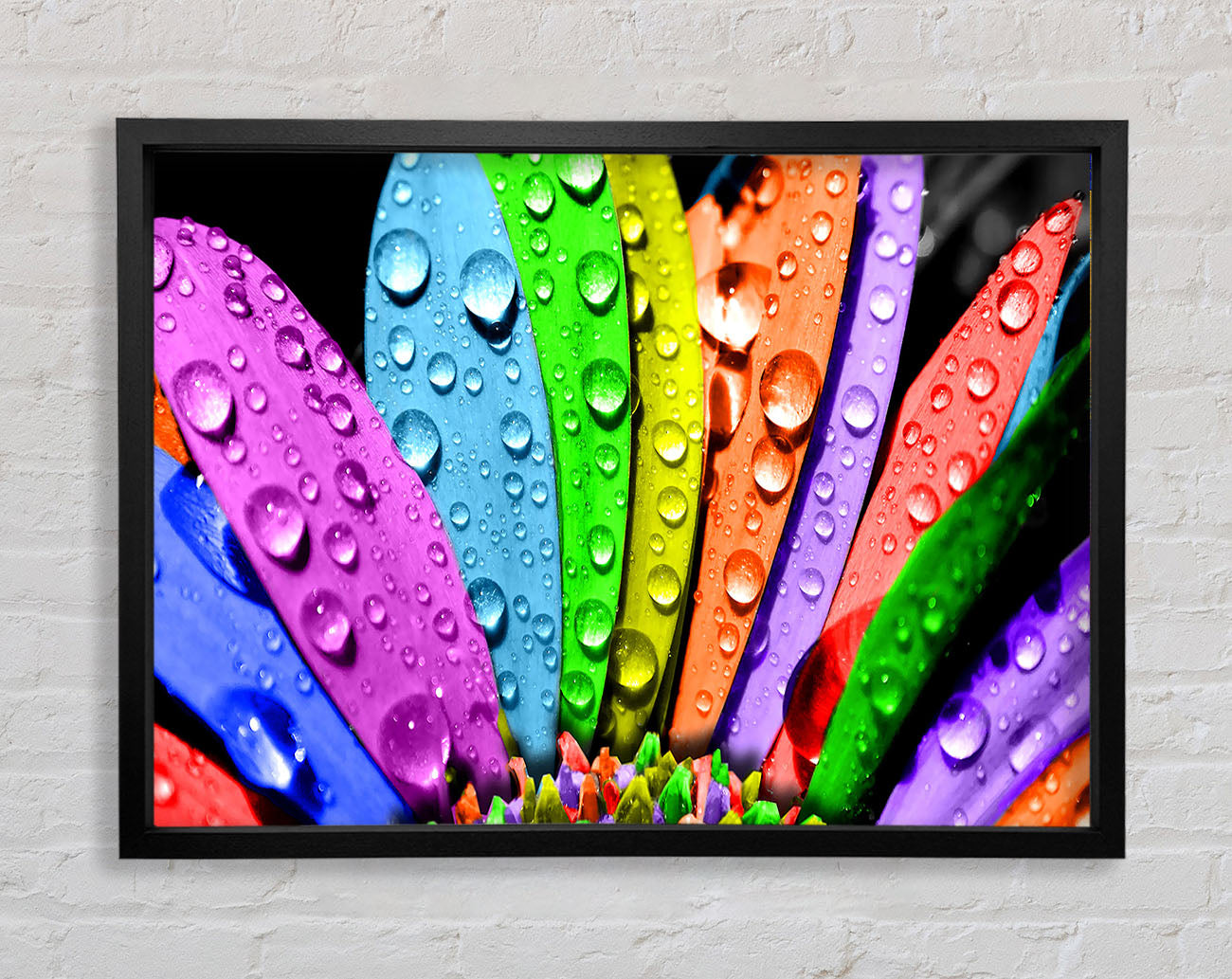 Colourful Flower Framed Wall Art