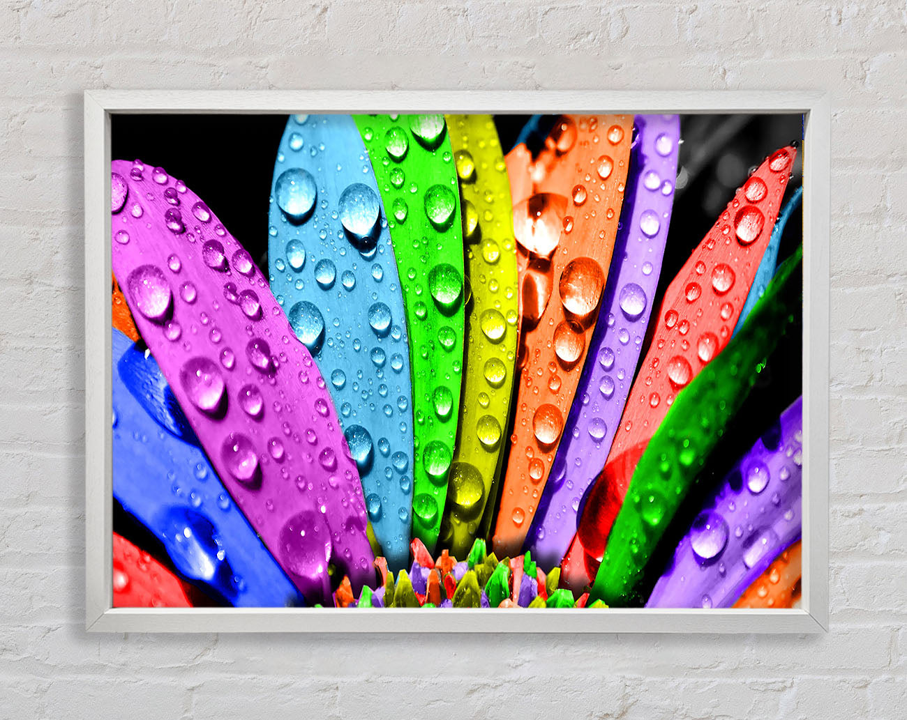 Colourful Flower Framed Wall Art
