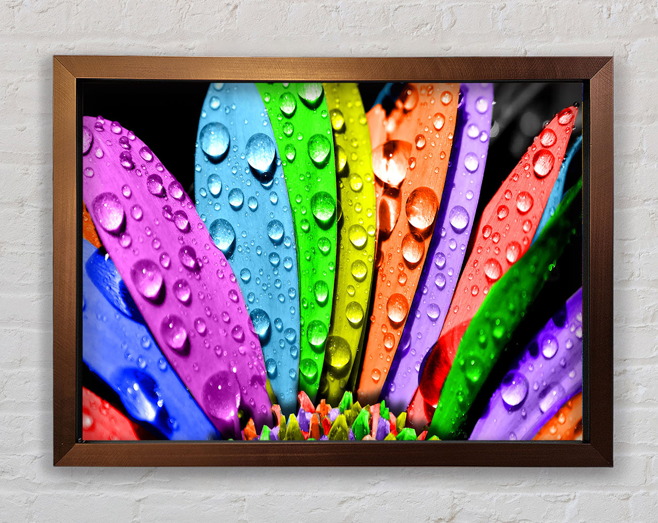 Colourful Flower Framed Wall Art